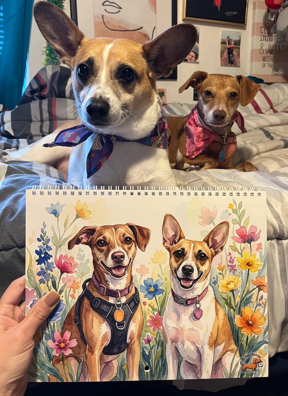 Une personne tient un calendrier imprimé montrant deux chiens peints, avec les vrais chiens derrière.