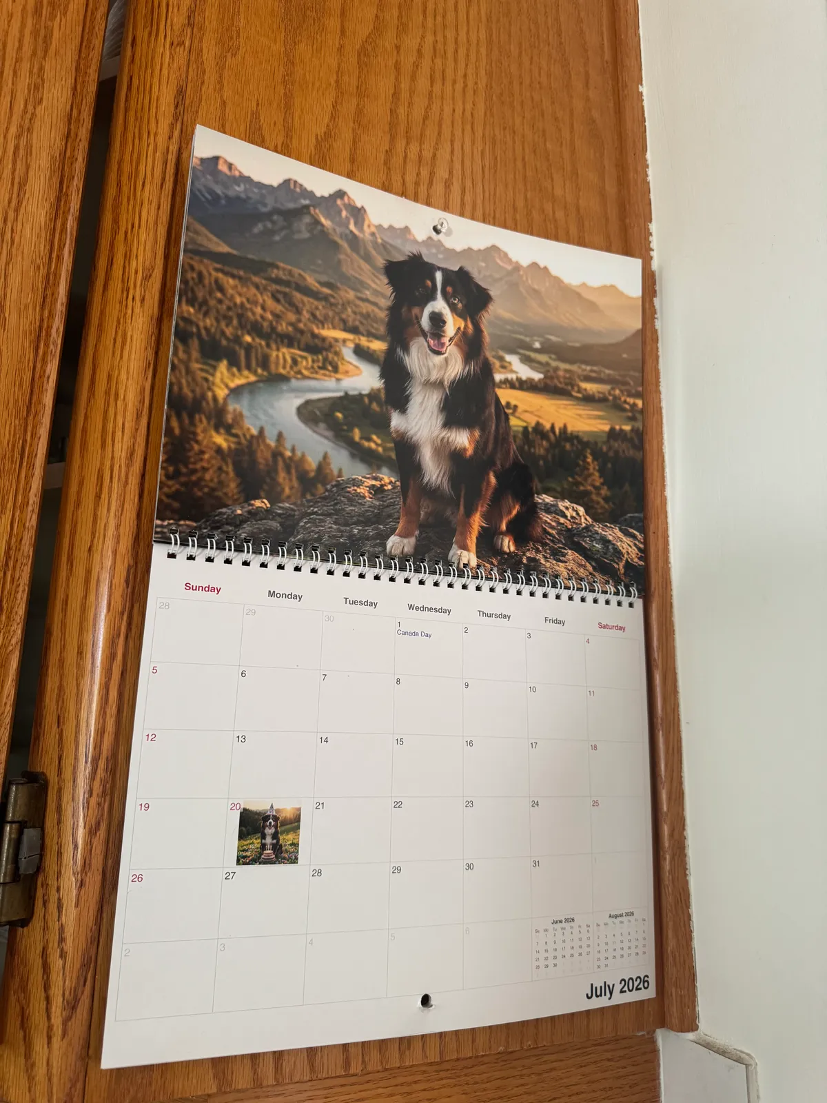 Un calendrier Nature imprimé accroché à un meuble en bois, ouvert à une page montrant un berger australien assis.