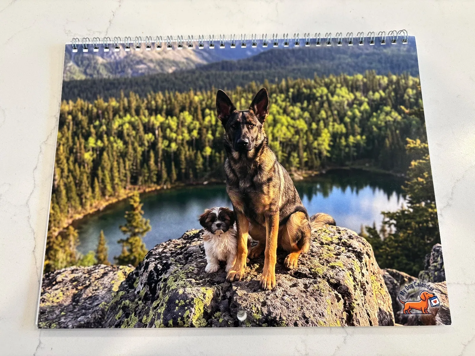 Un calendrier Canadien imprimé sur une table montre un berger allemand et un shih tzu sur un rocher.