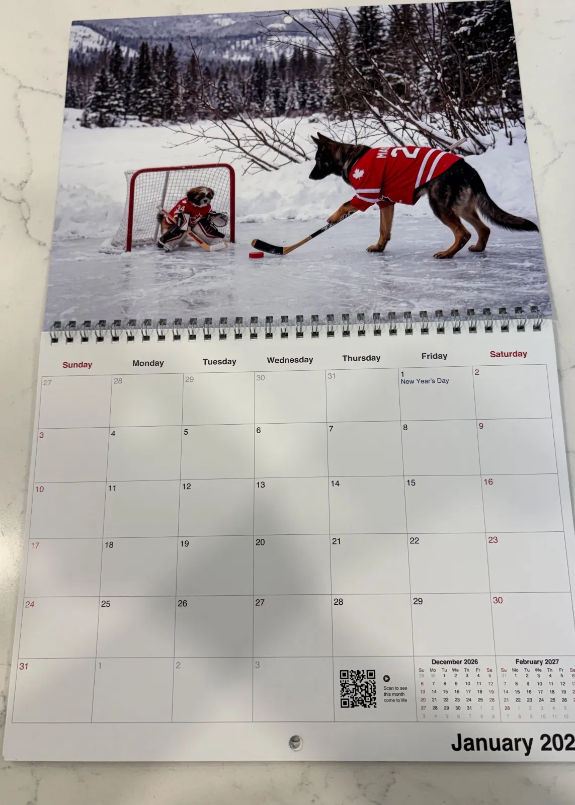 Un calendrier Canadien imprimé ouvert montre un berger allemand et un shih tzu jouant au hockey.