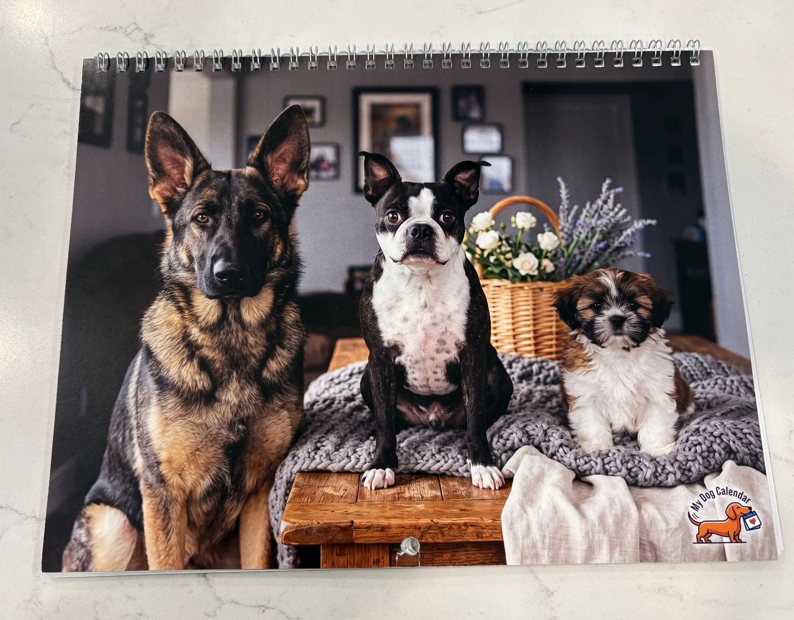 Un calendrier Adorable imprimé montrant un berger allemand, un shih tzu et un chien assis sur une table en bois.