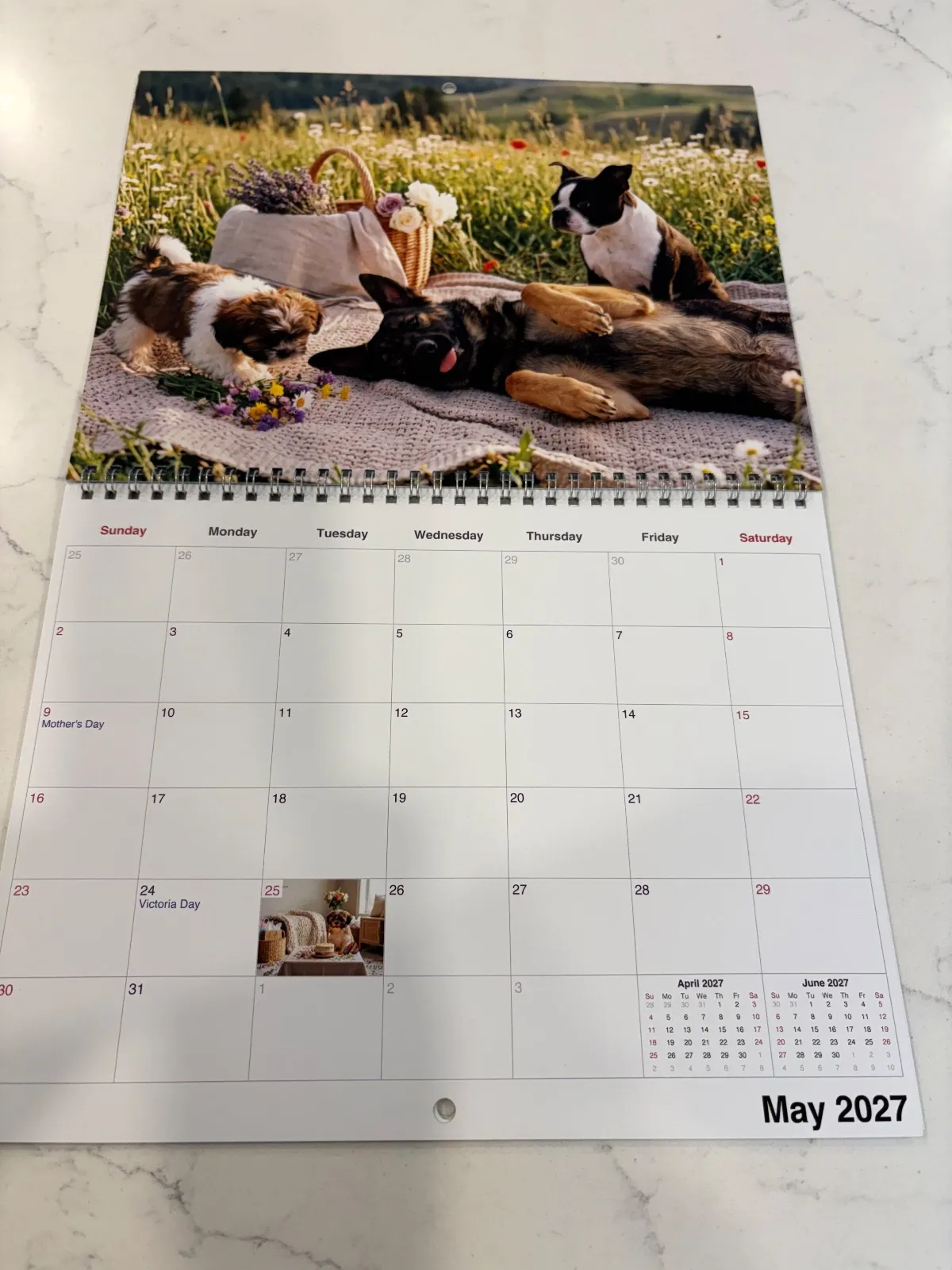 Un calendrier Adorable imprimé ouvert à mai avec un berger allemand couché à côté d’un shih tzu et d’un autre chien.