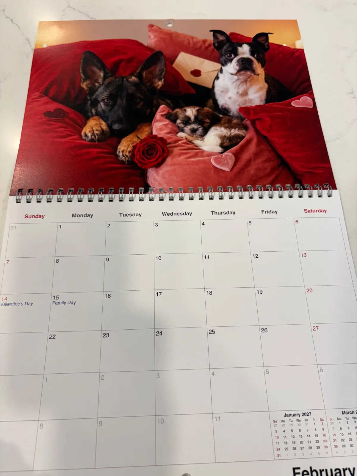 Un calendrier Adorable imprimé ouvert à février avec un berger allemand, un shih tzu et un chien sur des coussins rouges.