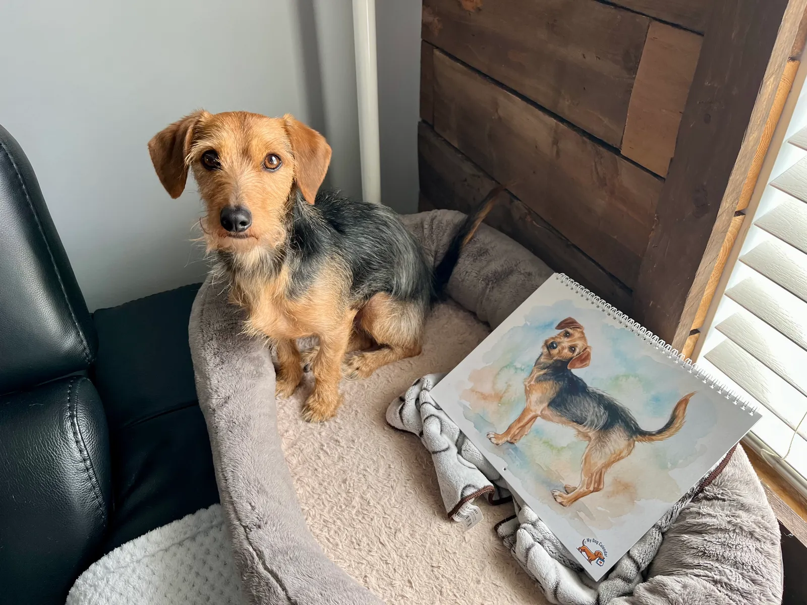 Un chien assis dans un lit pour animaux à côté d’un calendrier Aquarelle imprimé montrant l’illustration d’un chien.