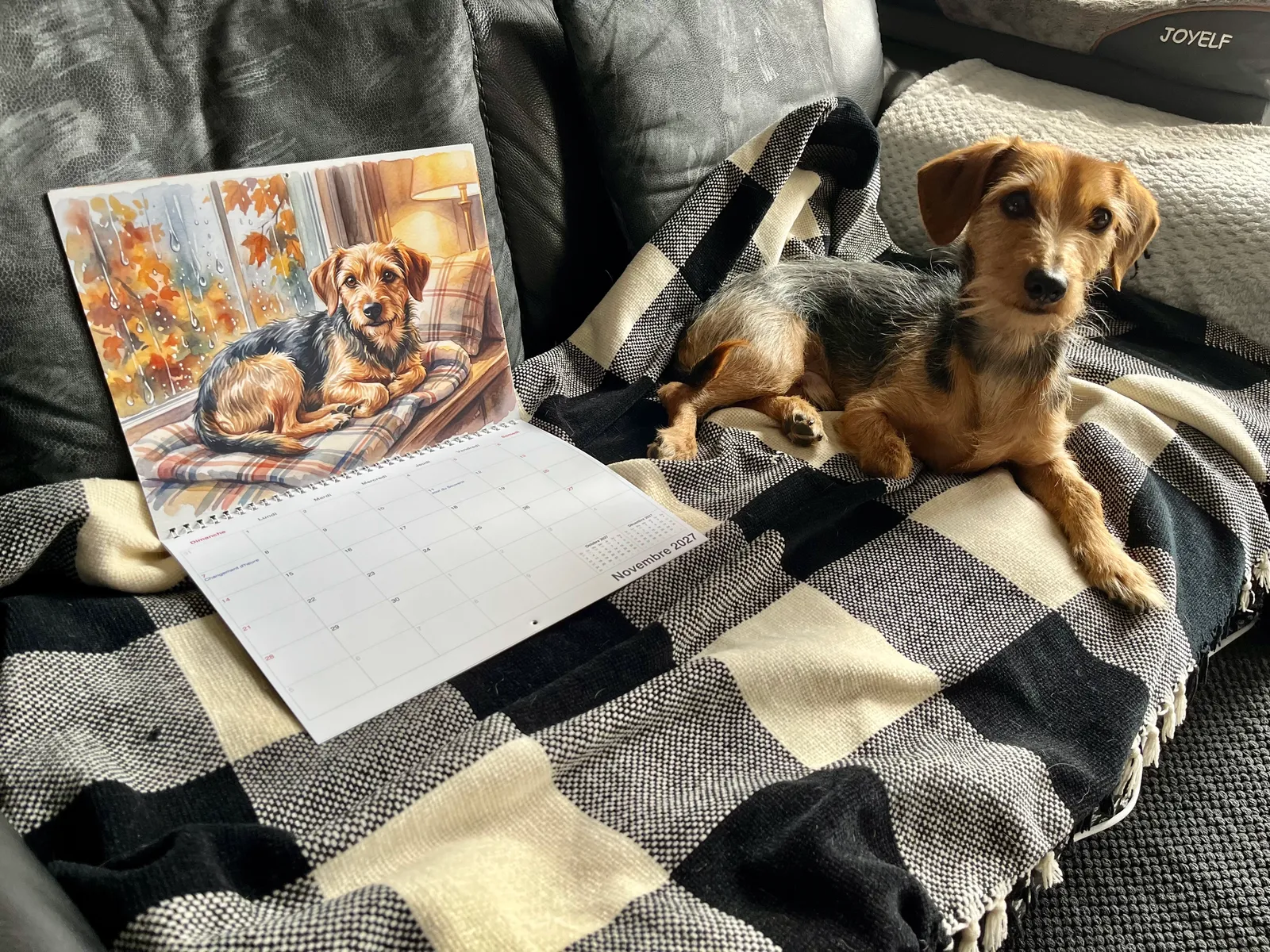 Un chien est couché sur une couverture à carreaux à côté d’un calendrier Aquarelle imprimé ouvert.