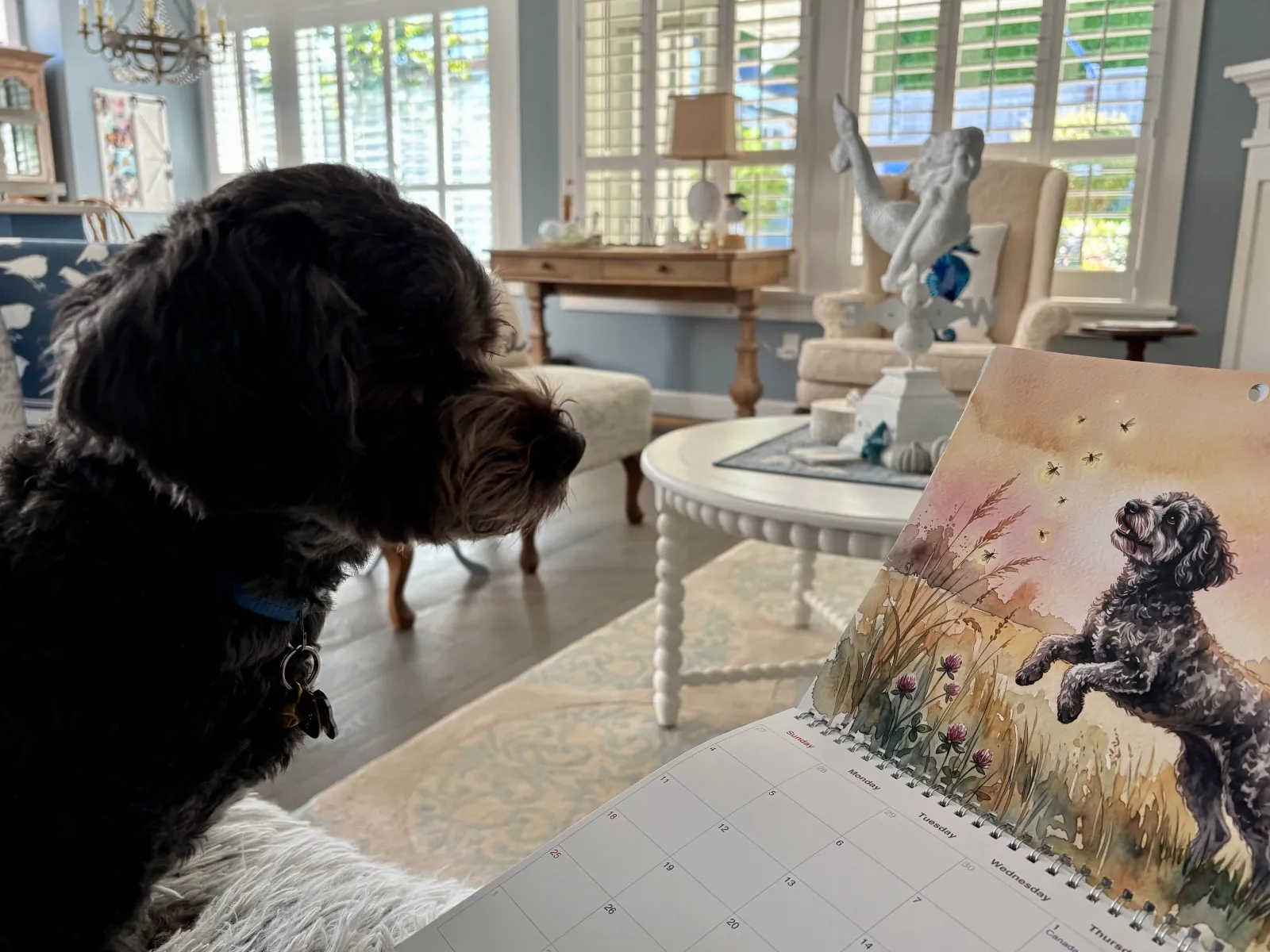 A black dog sits next to an open printed Watercolor calendar featuring a painting of a dog.