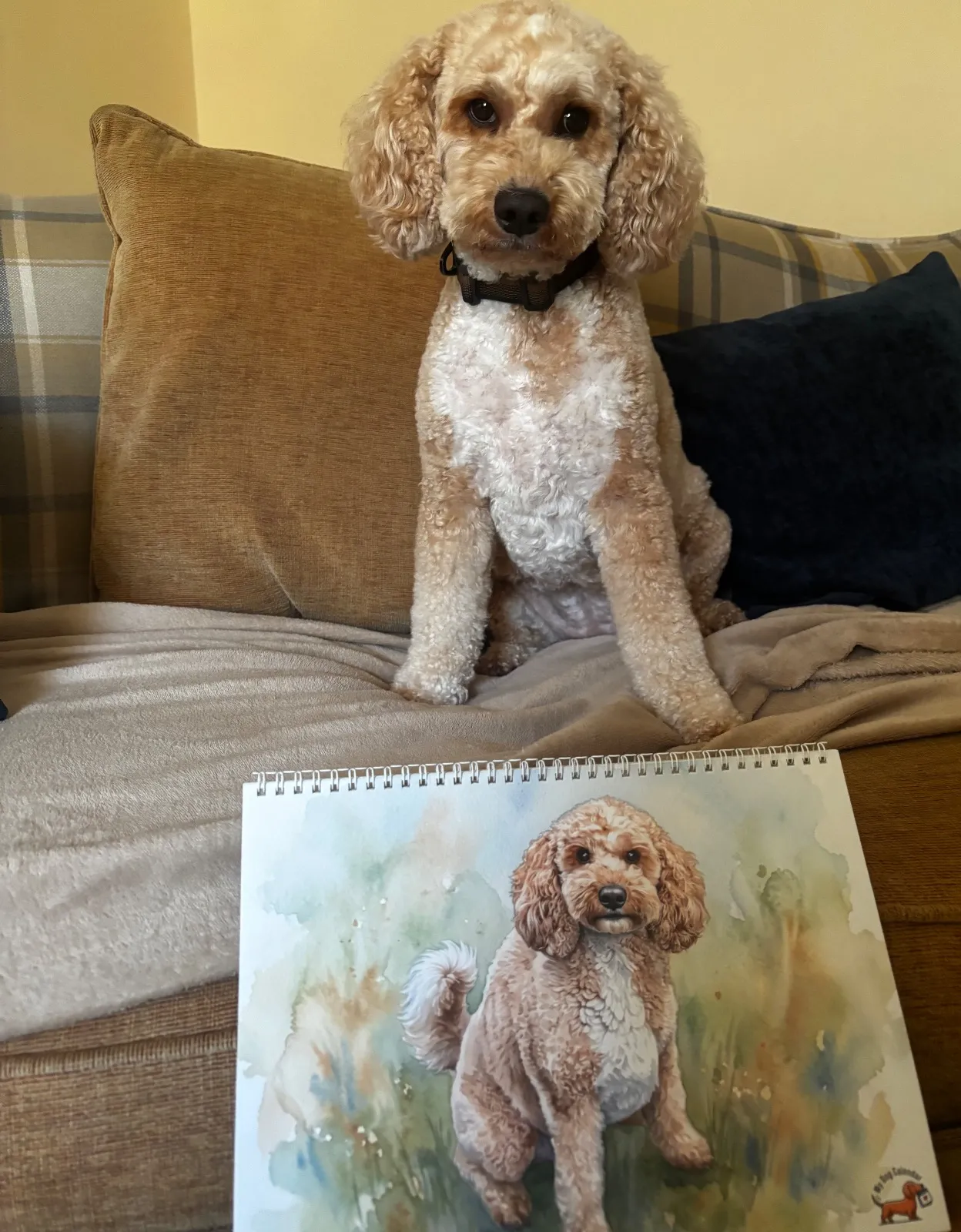 A dog sits on a couch behind a printed Watercolor calendar featuring a painted portrait of the same dog.