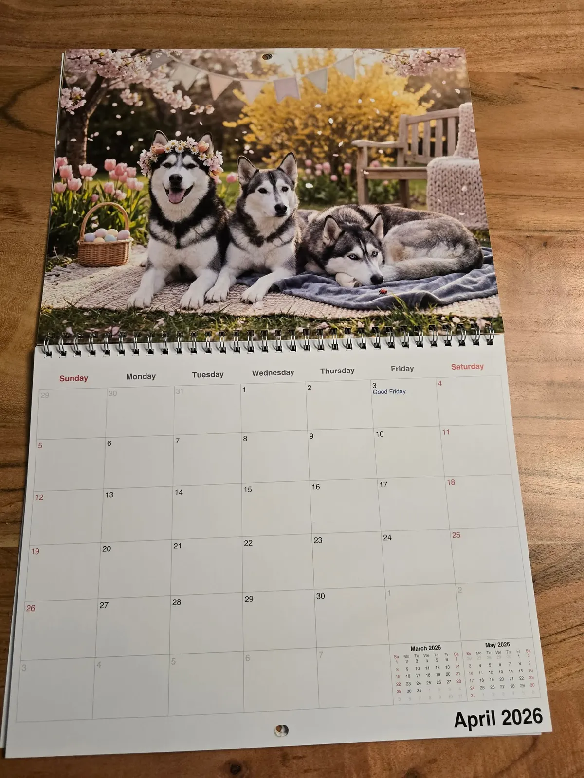 Un calendrier imprimé ouvert posé sur une table en bois montre trois chiens couchés dehors sous des cerisiers.