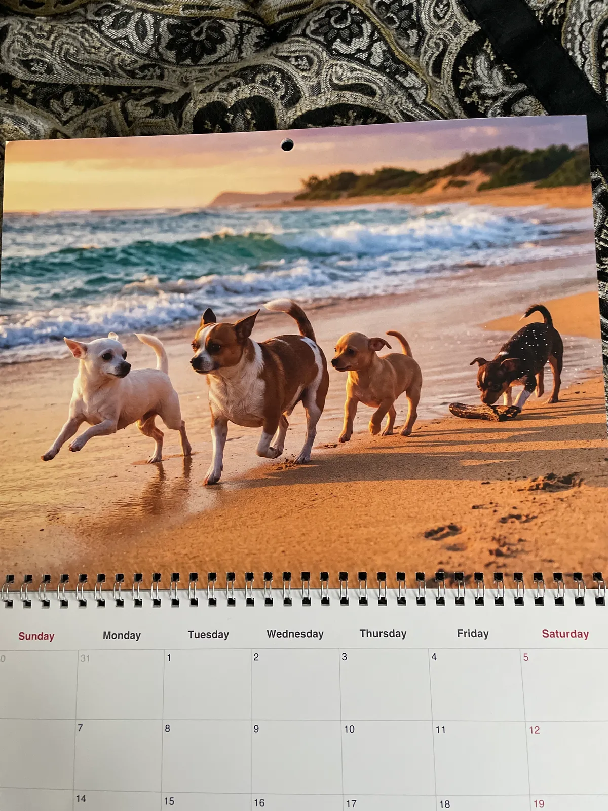 Un calendrier imprimé montre quatre chiens courant sur une plage de sable près des vagues de l’océan.