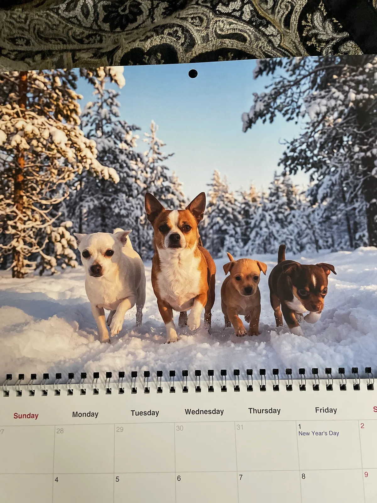 Une page de calendrier imprimé montre quatre chiens marchant ensemble dans la neige profonde d’une forêt de pins.
