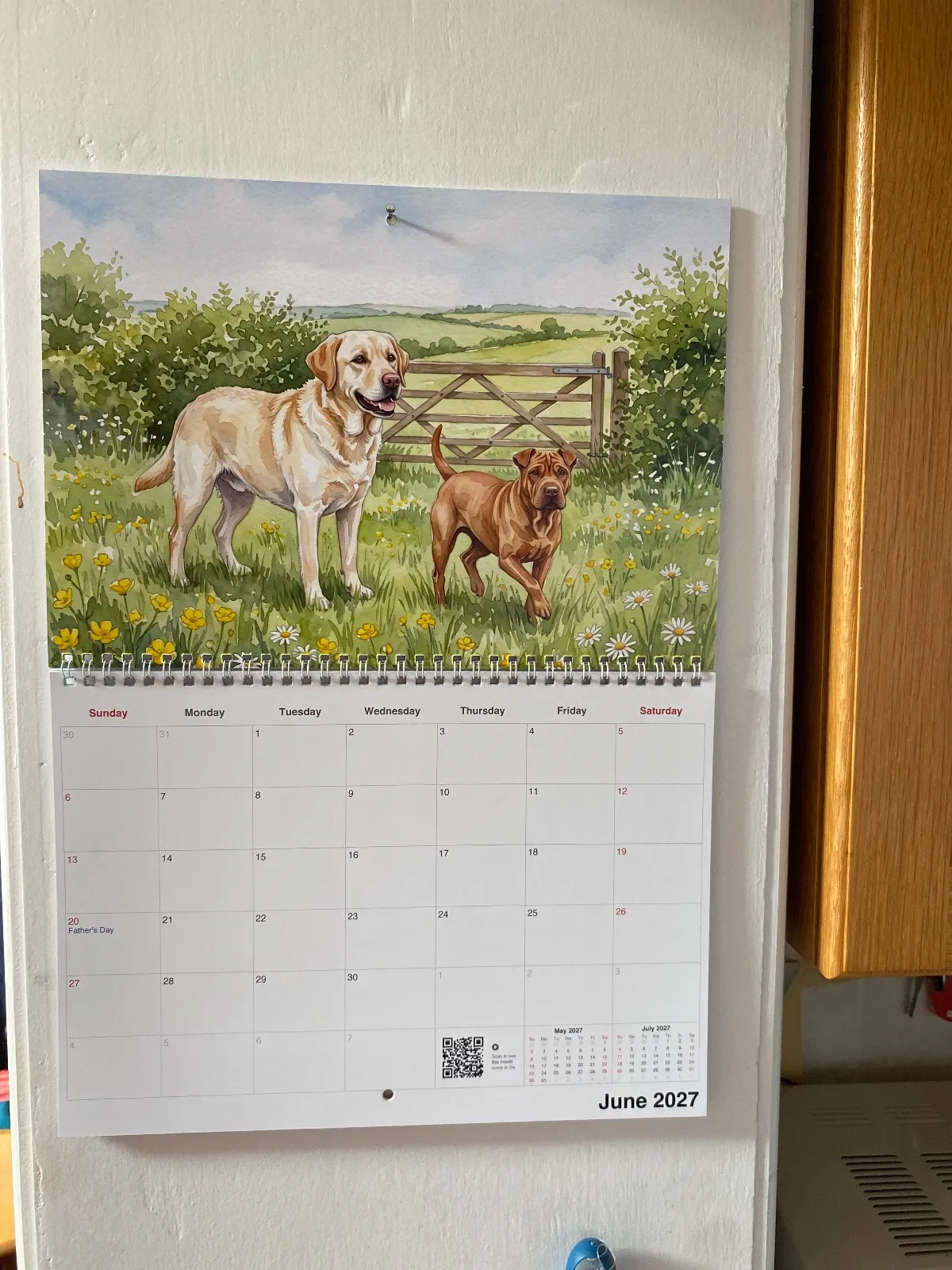 Un calendrier Aquarelle imprimé représentant un Labrador Retriever et un autre chien accroché à un mur blanc.